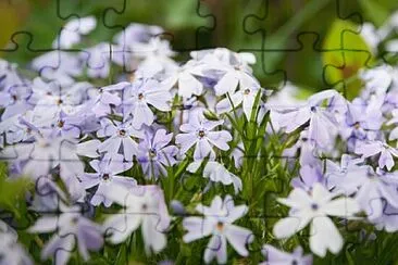 Toy jigsaw puzzle
