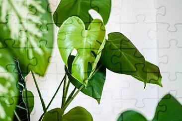Toy jigsaw puzzle