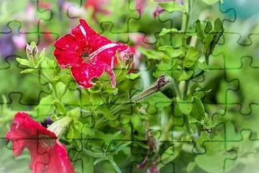 Toy jigsaw puzzle