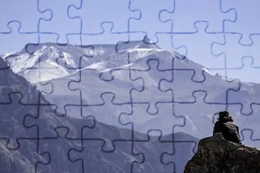 Toy jigsaw puzzle