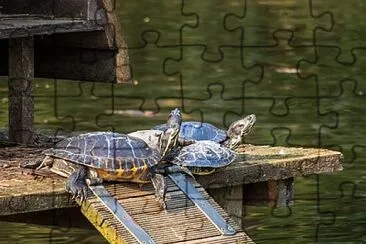 Foto jigsaw puzzle
