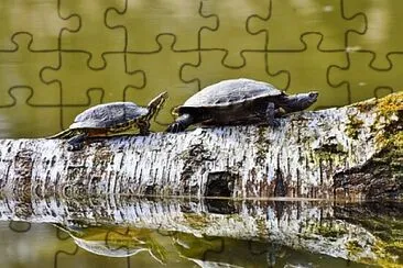 Foto jigsaw puzzle