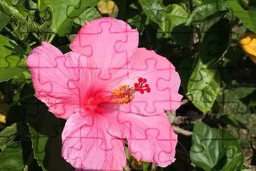 Foto jigsaw puzzle