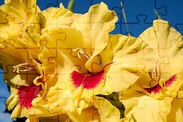 Foto jigsaw puzzle