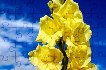 Foto jigsaw puzzle