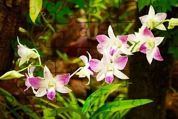 Foto jigsaw puzzle