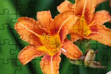 Toy jigsaw puzzle