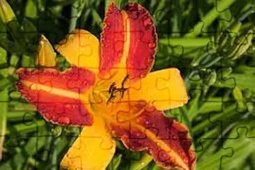 Toy jigsaw puzzle