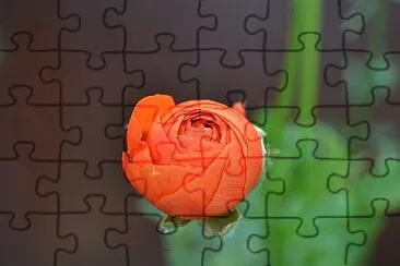 Toy jigsaw puzzle