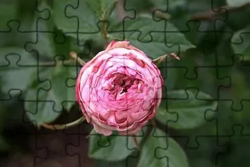 Foto jigsaw puzzle