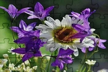 Foto jigsaw puzzle