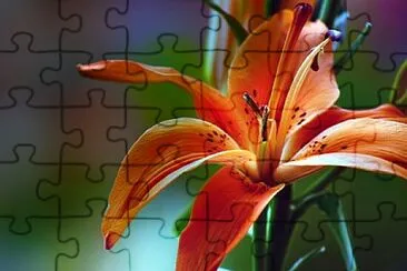 Foto jigsaw puzzle