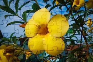 Foto jigsaw puzzle