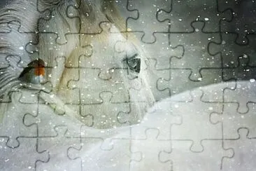 פאזל של Foto