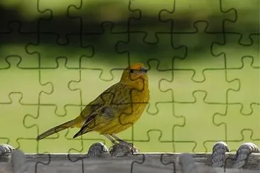 Foto jigsaw puzzle