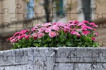 Foto jigsaw puzzle