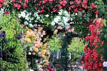 Foto jigsaw puzzle