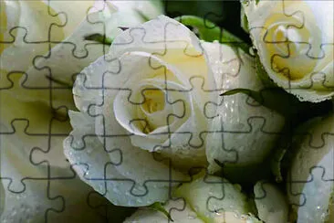 玫瑰 jigsaw puzzle