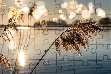 Foto jigsaw puzzle