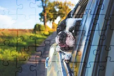 Foto jigsaw puzzle