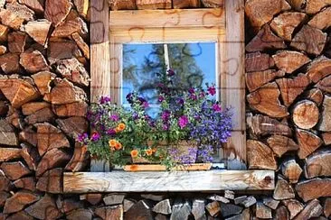 Foto jigsaw puzzle