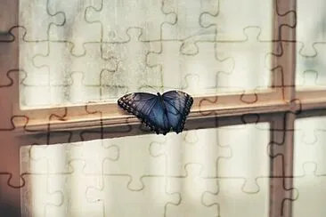 Foto jigsaw puzzle