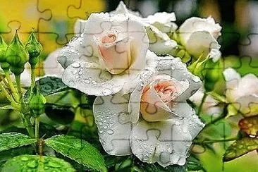 Foto jigsaw puzzle