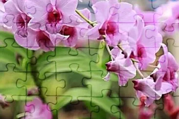 Foto jigsaw puzzle