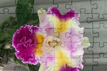 Foto jigsaw puzzle