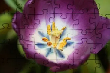Foto jigsaw puzzle