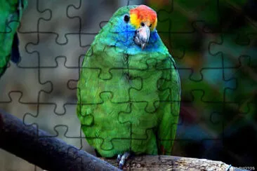 Foto jigsaw puzzle