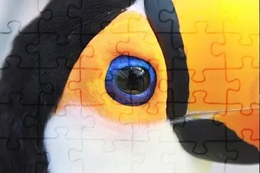 פאזל של Foto