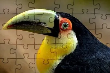 פאזל של Foto