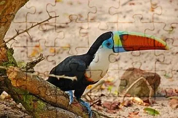 פאזל של Foto
