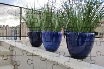 פאזל של Foto