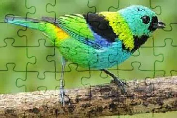 Foto jigsaw puzzle