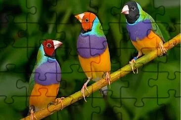 Foto jigsaw puzzle