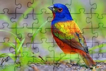 Foto jigsaw puzzle