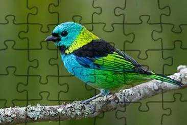 Foto jigsaw puzzle