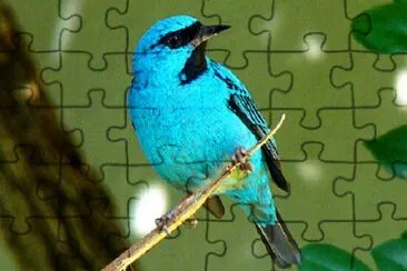 Foto jigsaw puzzle
