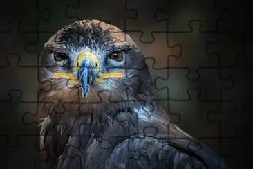 Foto jigsaw puzzle