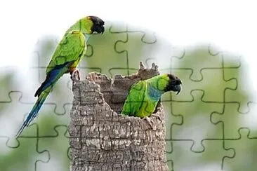 Foto jigsaw puzzle