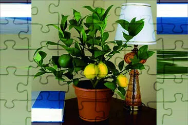  jigsaw puzzle
