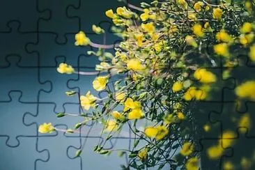 Foto jigsaw puzzle