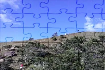 Generales jigsaw puzzle