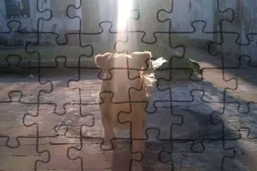 Santa Mona iluminada jigsaw puzzle