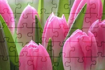 Foto jigsaw puzzle