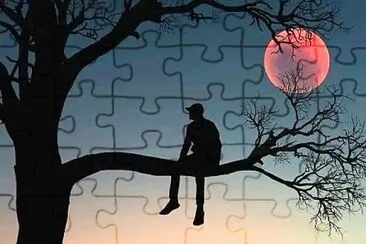 美圖 jigsaw puzzle
