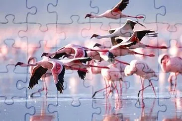 Foto jigsaw puzzle