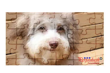 cachorrinha CACAU